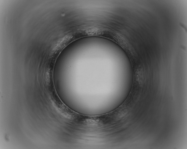 X0000103910690200809191302