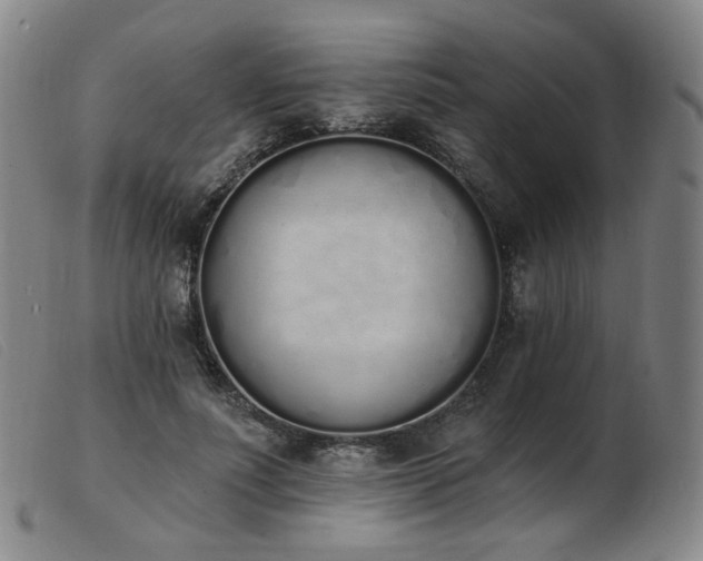 X0000103910691200809191302