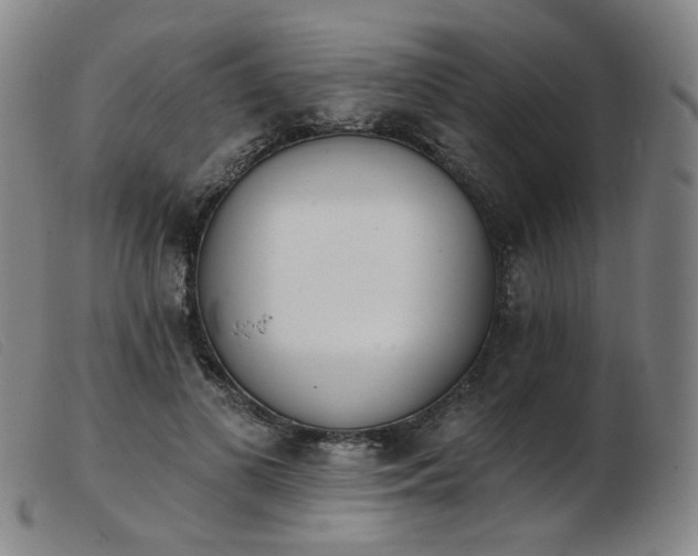 X0000103910693200809191302