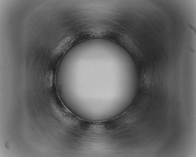 X0000103910694200809191302