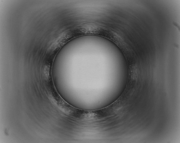 X0000103910695200809191302