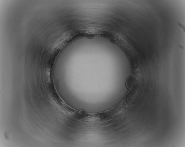 X0000103910696200809191302