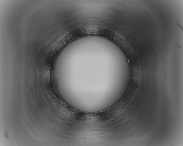 X0000103910697200809191302