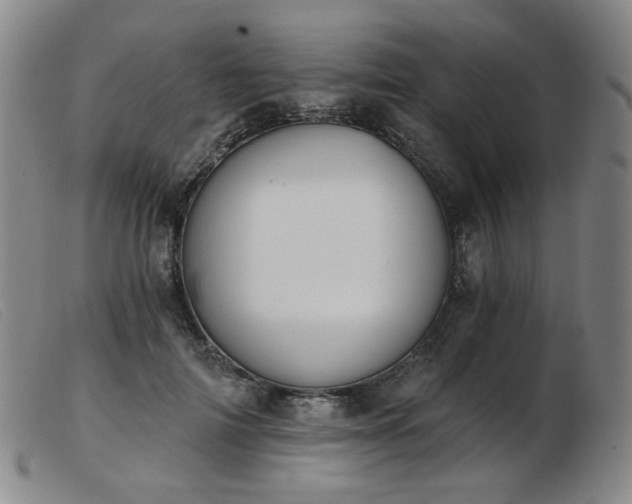 X0000103910698200809191302