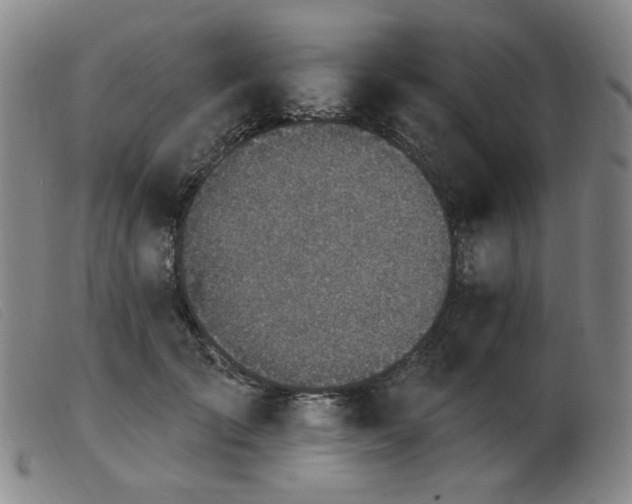 X0000103910701200809191302