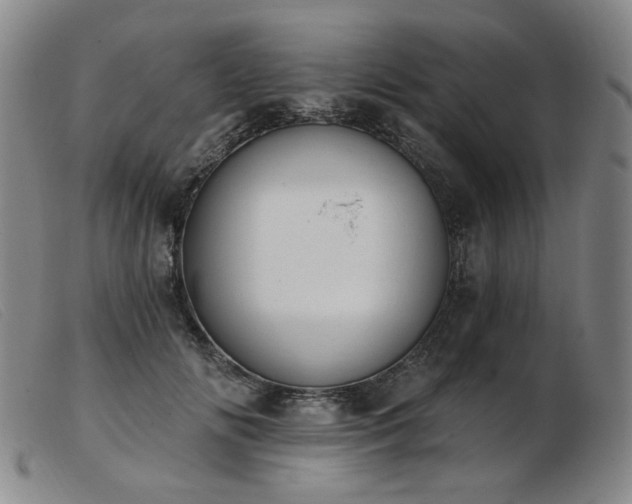 X0000103910702200809191302