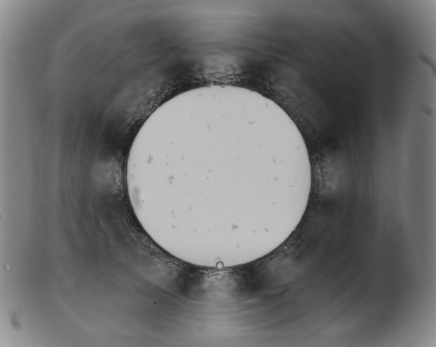 X0000103910705200809191302
