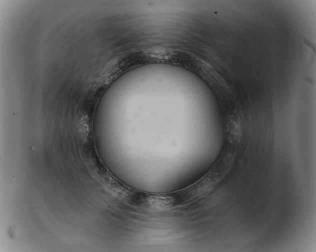 X0000103910707200809191302