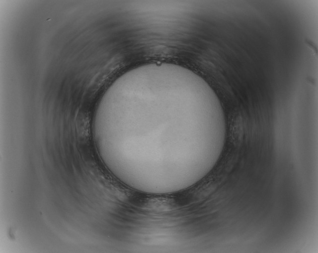 X0000103910708200809191302