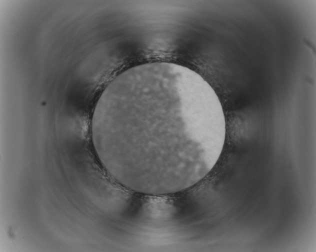 X0000103910709200809191302