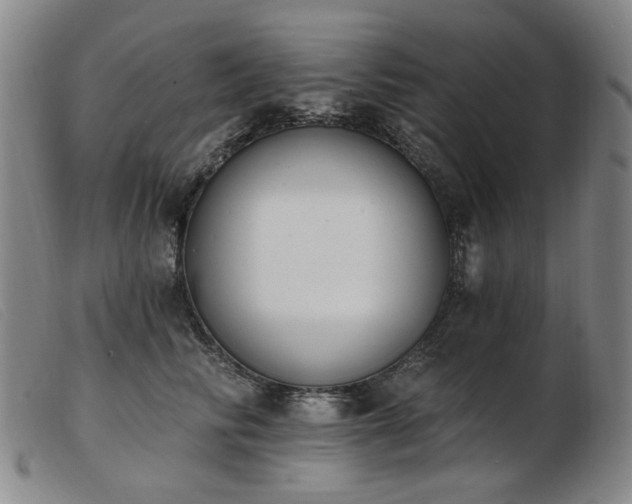 X0000103910710200809191302