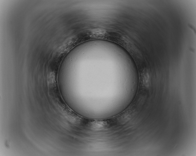 X0000103910711200809191302