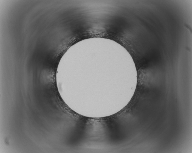X0000103910713200809191302