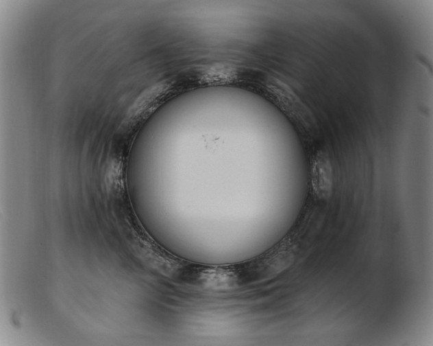 X0000103910714200809191302