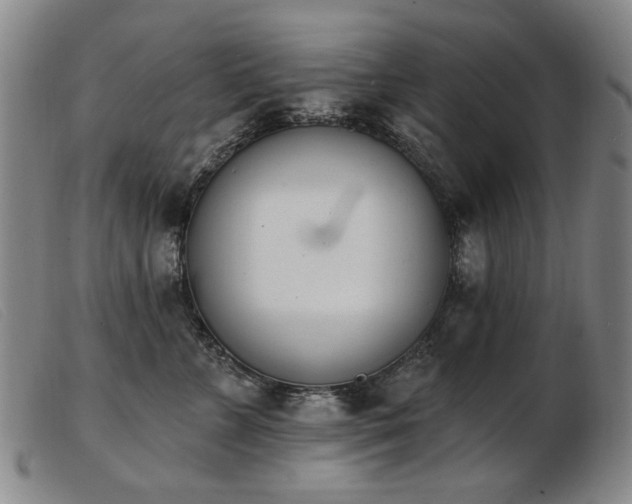 X0000103910715200809191302