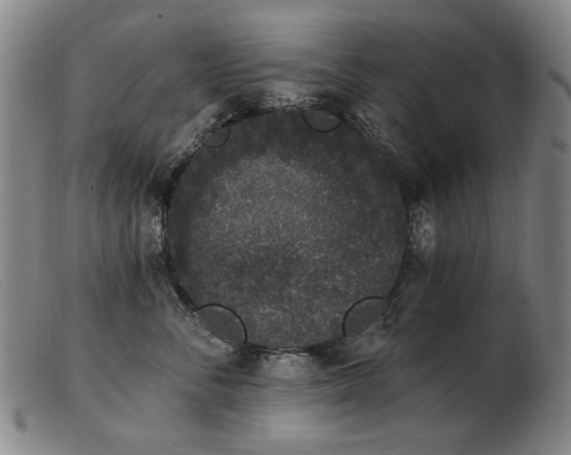 X0000103910716200809191302