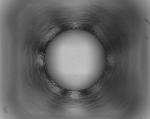 X0000103910719200809191302