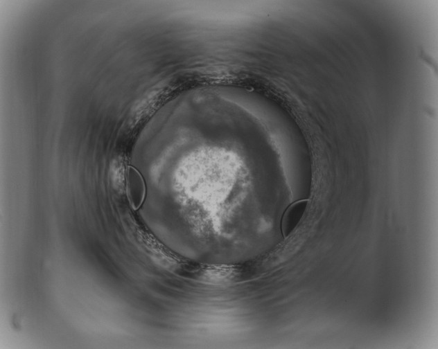 X0000103910720200809191302