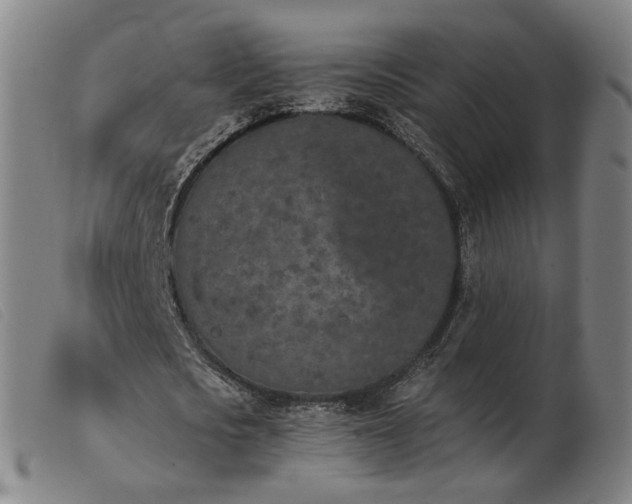 X0000103910721200809191301