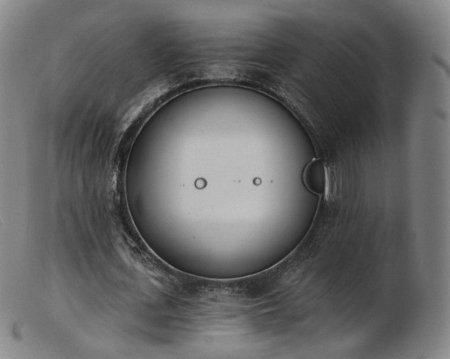 X0000103910723200809191301