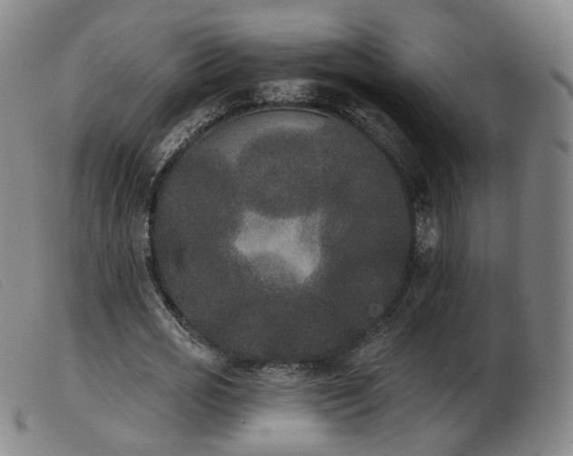 X0000103910725200809191301
