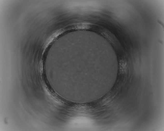 X0000103910726200809191301