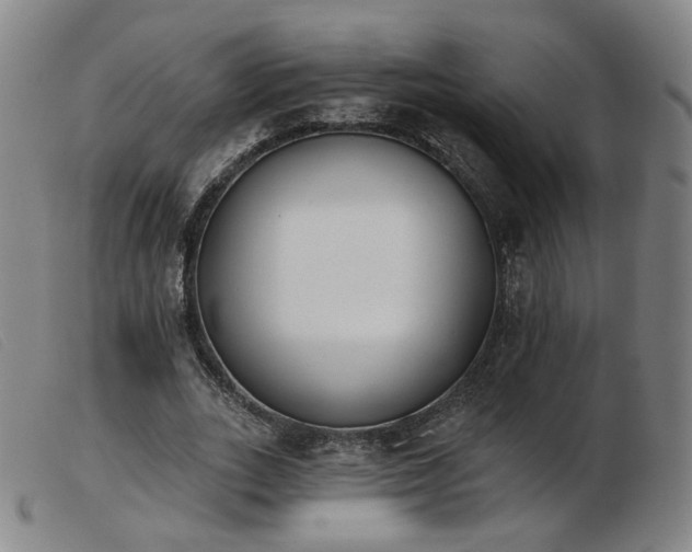 X0000103910727200809191301