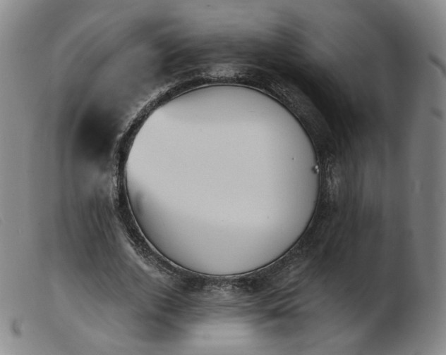 X0000103910728200809191301