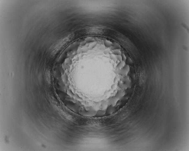 X0000103910729200809191301