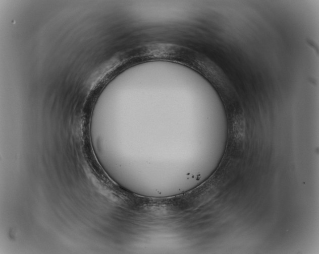 X0000103910730200809191301