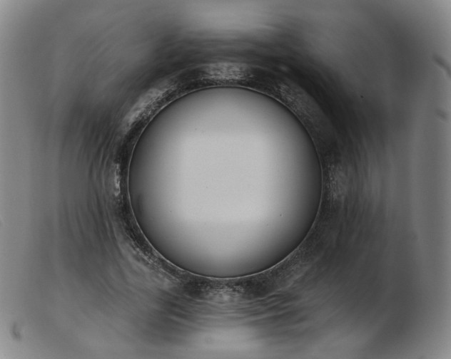 X0000103910731200809191301