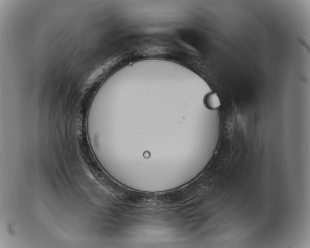 X0000103910732200809191301