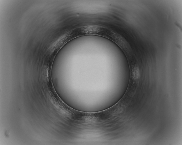 X0000103910733200809191301
