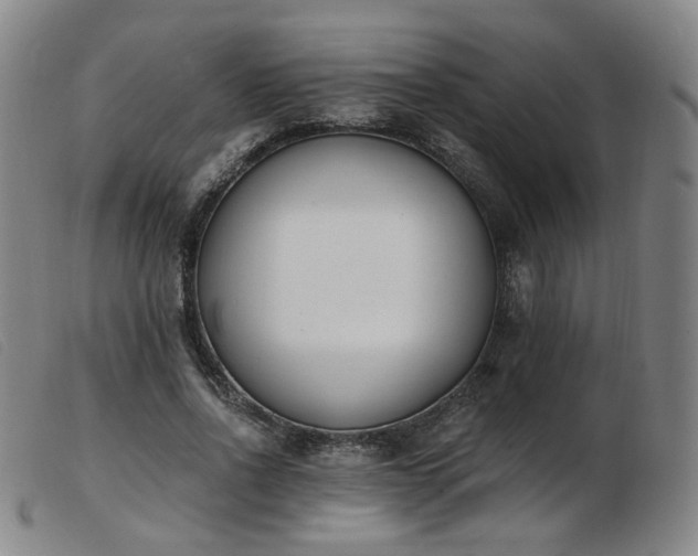 X0000103910734200809191301