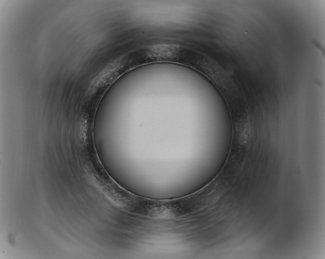 X0000103910735200809191301