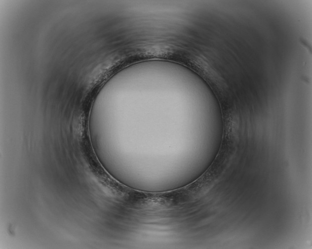 X0000103910736200809191302