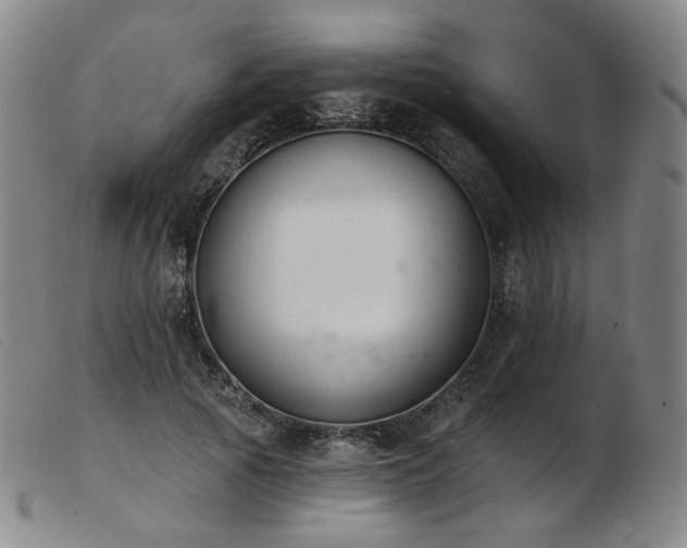 X0000103910737200809191302