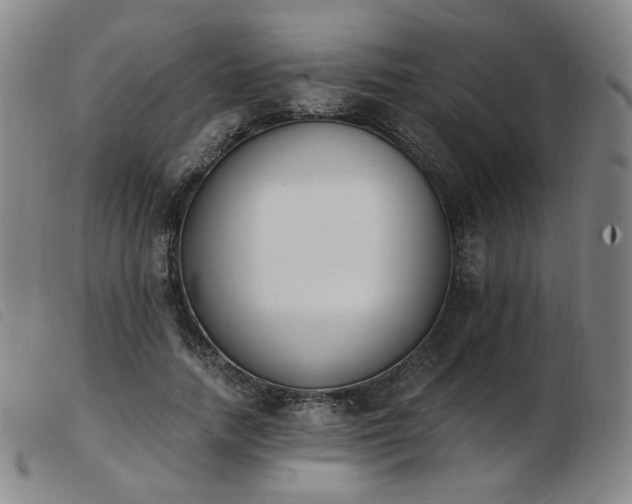 X0000103910738200809191302