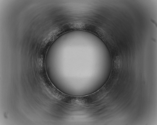 X0000103910739200809191302