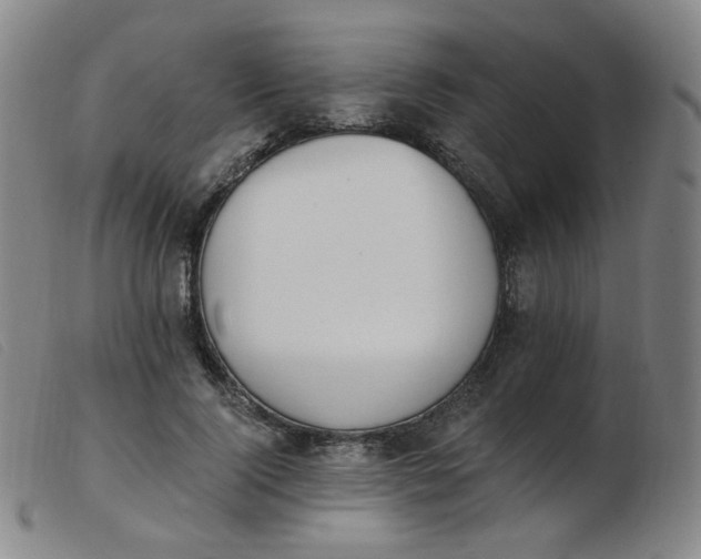 X0000103910740200809191302