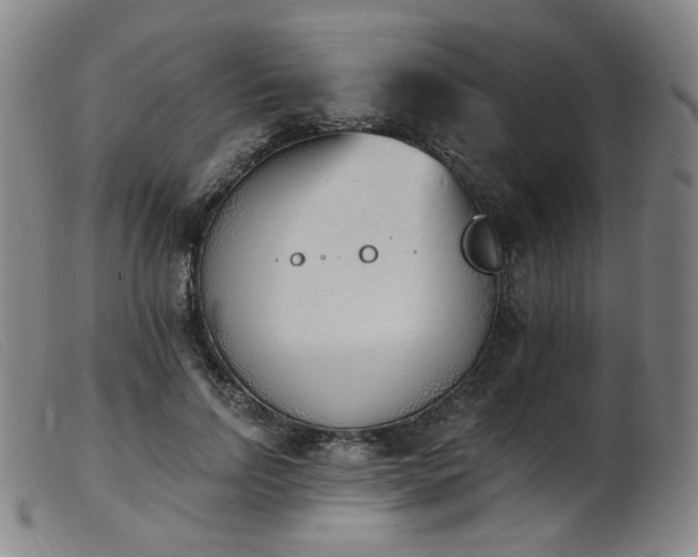 X0000103910742200809191302