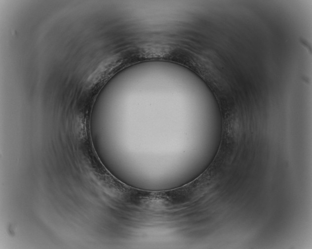 X0000103910743200809191302