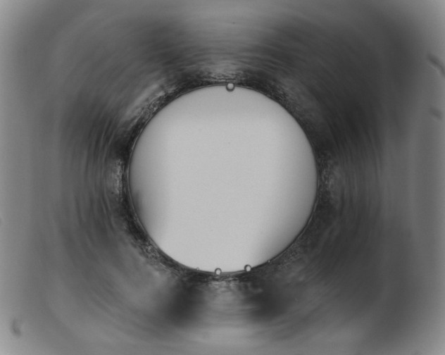 X0000103910744200809191302