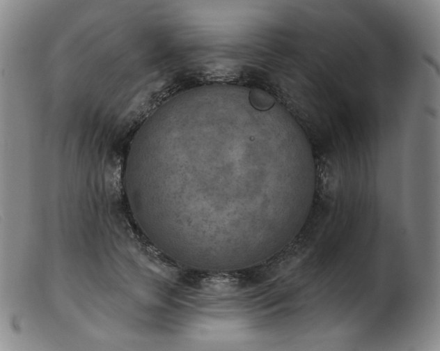 X0000103910745200809191302