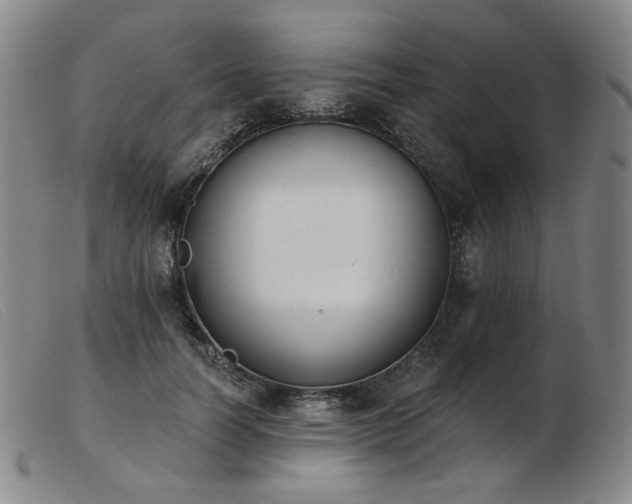 X0000103910746200809191302