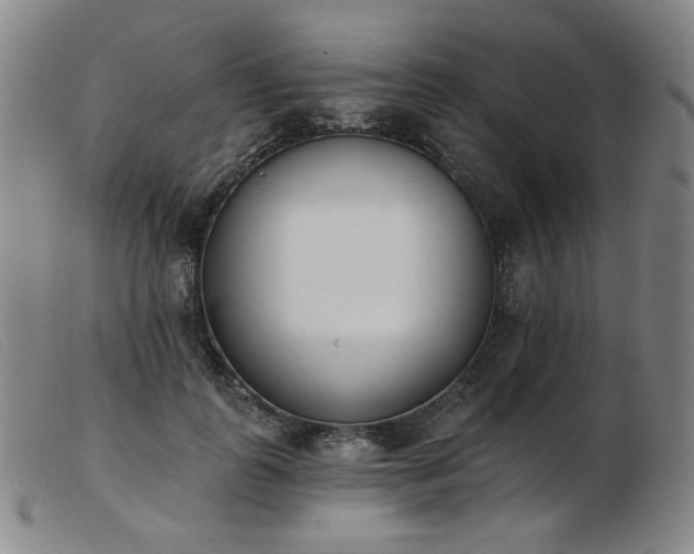 X0000103910747200809191302