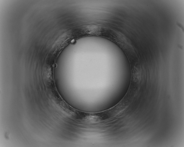 X0000103910748200809191302