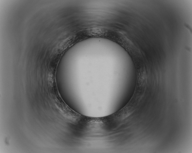 X0000103910749200809191302