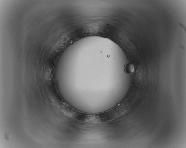 X0000103910750200809191302