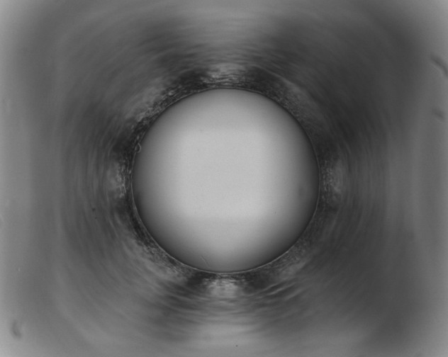 X0000103910751200809191302